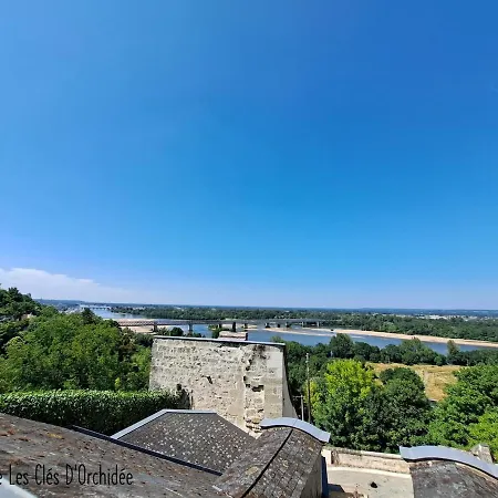 Le Chant Du Troglodyte *