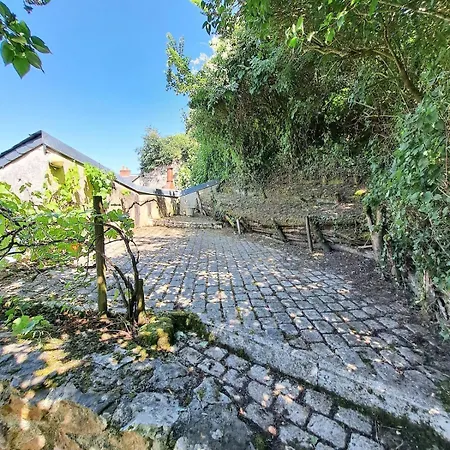 Le Chant Du Troglodyte Villa Saumur
