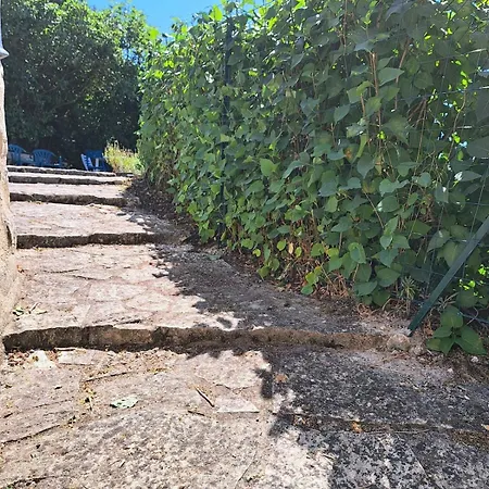 Le Chant Du Troglodyte *