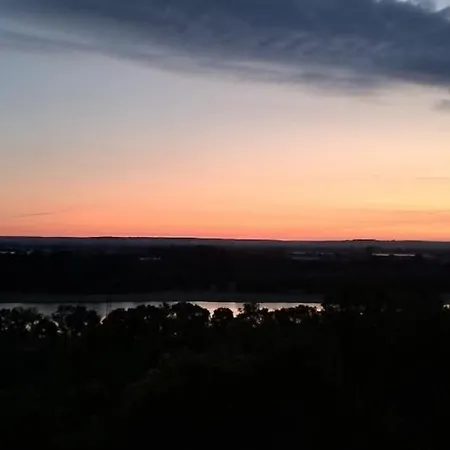 Le Chant Du Troglodyte