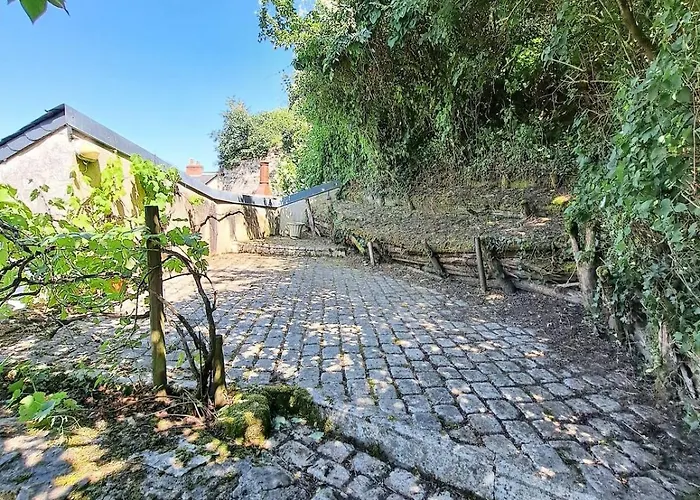 Le Chant Du Troglodyte Villa Saumur