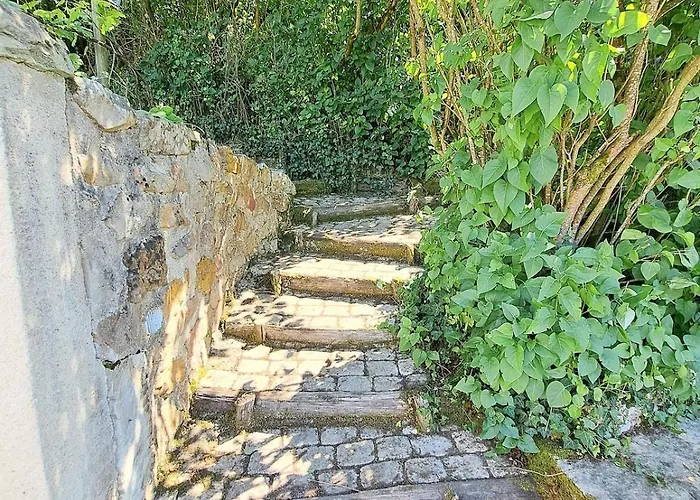Le Chant Du Troglodyte Saumur