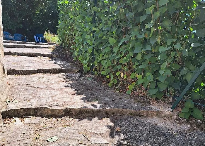 Le Chant Du Troglodyte *